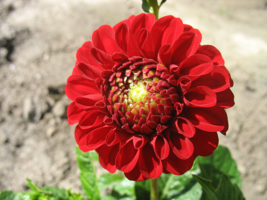 670651 (a): :2592x1944